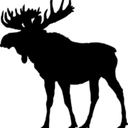 Lambton Conservation Association logo