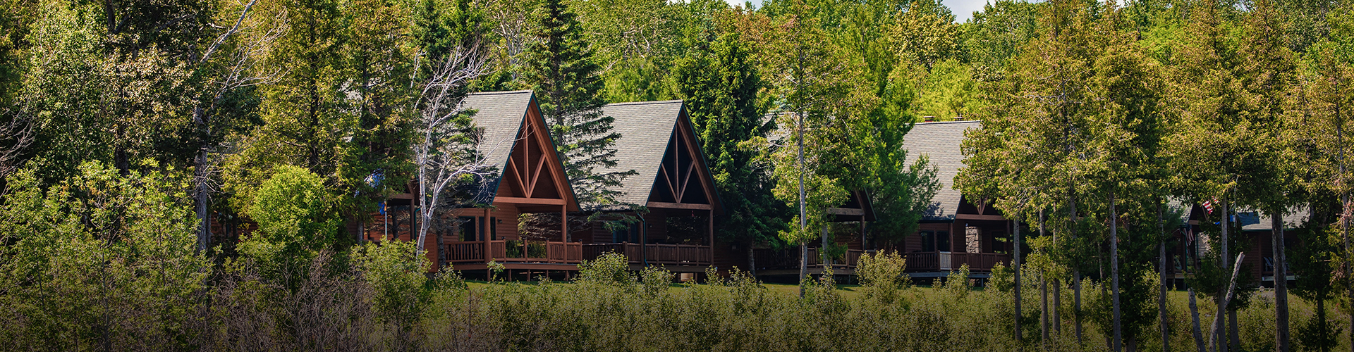 Drummond Island Resort/ The Cedars Sporting Clays Course logo