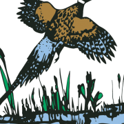Etowah Valley Sporting Clays logo