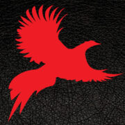 Double Barrel Ranch logo