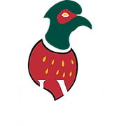Wern Valley Sportsmens Club logo