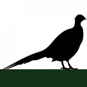 western mass bird dog club logo
