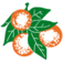 Indian River County Public Shooting Range logo