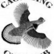 Cacoosing Gun Club logo