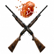 Amelia Shotgun Sports logo